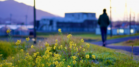 滞在時間の短さ
